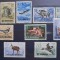 Timbre 1956 Vanatoarea, dantelata