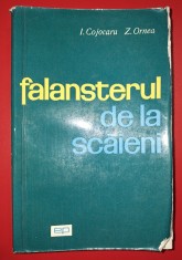 Ilie Cojocaru, Z. Ornea - Falansterul de la Scaieni