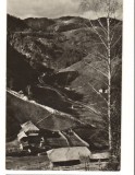 CPI B 11155 CARTE POSTALA - DAMBOVICIOARA. VALEA BRUSTURETULUI