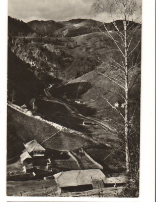 CPI B 11155 CARTE POSTALA - DAMBOVICIOARA. VALEA BRUSTURETULUI foto