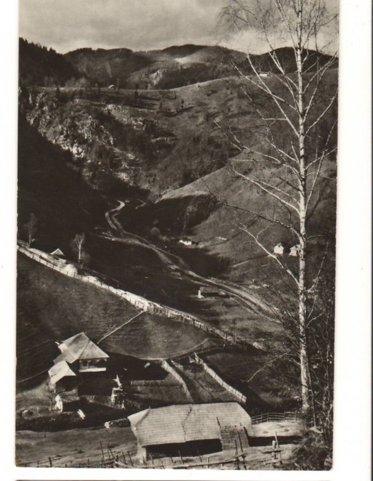 CPI B 11155 CARTE POSTALA - DAMBOVICIOARA. VALEA BRUSTURETULUI