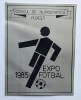 Cercul numismatic PLOIESTI - Expo Fotbal 1985, placheta - medalie RSR