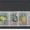 Floria,fructe 1964,Vietnam.