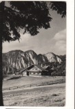 CPI B 10983 CARTE POSTALA - PREDEAL. CABANA &quot;POIANA SECUILOR&quot;, RPR