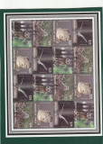 Tonga 2012-Fauna,Bufnite,coala 4 seriix4 valori,dantelate,MNH,Mi.1797-1800KB, Nestampilat