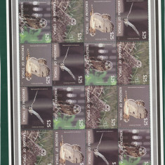 Tonga 2012-Fauna,Bufnite,coala 4 seriix4 valori,dantelate,MNH,Mi.1797-1800KB