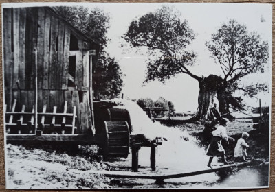 Tarani si moara de apa, anii &amp;#039;30// reproducere de epoca foto