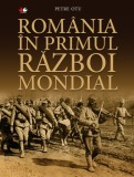 Romania in Primul Razboi Mondial - Petre Otu - Editura Litera
