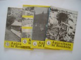 Apicultura in Romania - nr. 6, 7, 8, 10 pe anul 1982