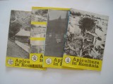 Apicultura in Romania - nr. 6, 7, 8, 10 pe anul 1982, Alta editura