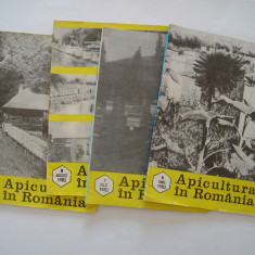 Apicultura in Romania - nr. 6, 7, 8, 10 pe anul 1982