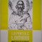 La portile luminii. Miracolele de la Dervent - Dumitru Manolache
