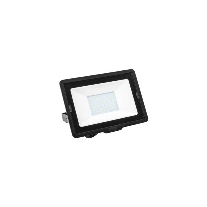 Proiector LED 10W lumina neutra LN 4000K PILA