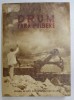 DRUM FARA PULBERE , EDITIA A II - a de PETRU DUMITRIU , 1951