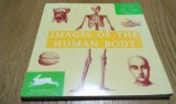 IMAGES OF THE HUMAN BODY - Pepin Van Roojen - Boston, 1999, 112 p.