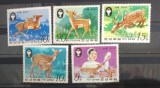 Korea 1979 fauna animale căprioare 5v neștampilată
