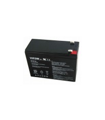 Acumulator gel plumb 12V 10Ah Vipow foto
