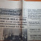 scanteia tineretului 31 ianuarie 1984-articol si foto orasul filiiasi