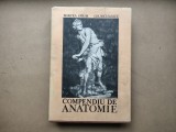 Compendiu de anatomie - Mircea Ifrim , Gh. Niculescu