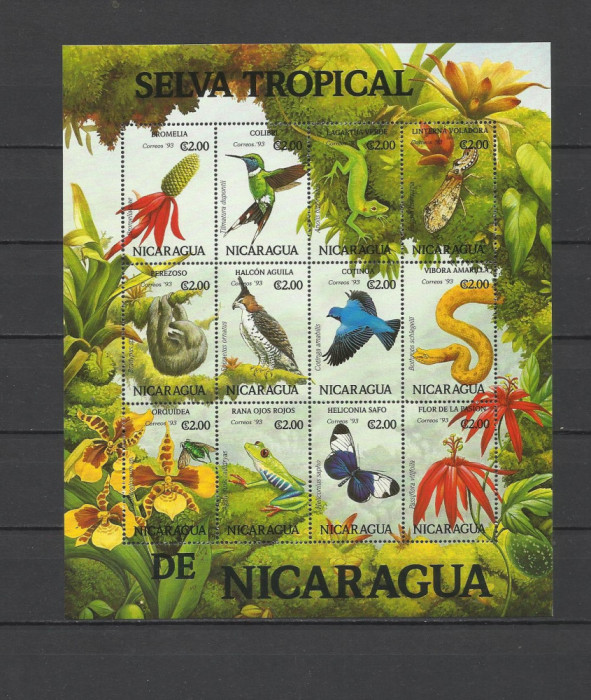 NICARAGUA 1993 FAUNA SI FLORA TROPICALA