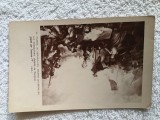 carte postala reproduce lucrare ,, ,muzeul Versaille .