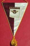 Fanion (protocol-matase) fotbal - RAPID BUCURESTI (anii`80)