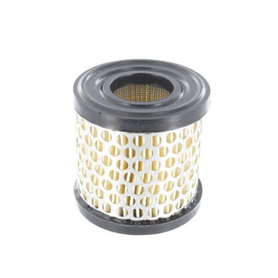 Filtru aer motor Briggs &amp;amp;amp; Stratton 2-5 HP orizontal + vertical (396424) foto