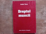 Dreptul muncii - Ovidiu T&icirc;nca, 1999