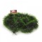 Ghirlande brad model &quot;Ombre&quot;
