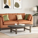 Picioare Masuta Cafea Otel 70x30cm, 2 Bucati, Natural, Ajustabile, Montaj Facil