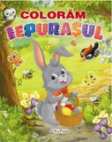 Coloram iepurasul - Autor Anonim - Editura Erc Press