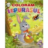 Coloram iepurasul - Autor Anonim - Editura Erc Press