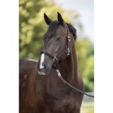 Capastru Hippo-Kerbl pentru cai, negru