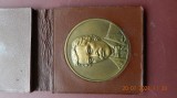 Medalie Eminescu 1964 in Etui Piele, Rara, Numismatica Romania