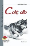 Colț Alb - Jack London - Paperback brosat - Jack London - Cartex