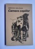 Mircea Saucan - Camera copiilor