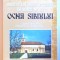 URMELE LUI MIHAI VITEAZU IN SAREA DE LA OCNA SIBIULUI - CRONICA RELIGIOASA, ETNOGRAFICA SI MEMORIALISTICA de SAVU POPA , 2008