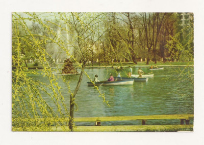 RF12 -Carte Postala- Bucuresti, gradina Cismigiu circulata 1962 foto