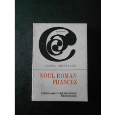 Romul Munteanu - Noul roman francez