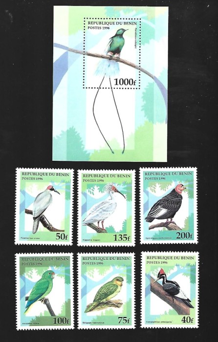 benin pasari mnh