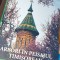ARBORI IN PEISAJUL TIMISOREAN