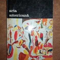 Arta americana- Dan Grigorescu