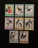 Serie Completă 8 Timbre Vietnam 1983 Păsări Rare Păsări Toco Hornbill Calao Ștampilate - A992