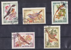A12 S5 2 - Timbre foarte vechi - fosta URSS - pasari cantatoare