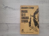 Orasul cu o singura strada de Alexandru D.Lungu