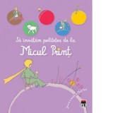 Sa invatam politetea de la Micul Print