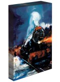 Light Up Canvas Harry Potter (hogwarts Express) 30x40