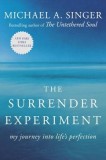 The Surrender Experiment: My Journey Into Life&#039;s Perfection