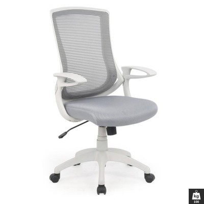 Scaun directorial HM Igor, Ergonomic, Cadru Polipropilena, Tapiterie Mesh, Inaltime ajustabila, 100 kg, 114x66x63 cm, Alb Gri foto
