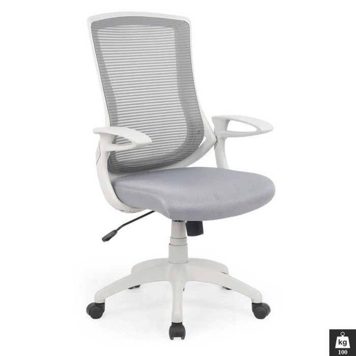 Scaun directorial HM Igor, Ergonomic, Cadru Polipropilena, Tapiterie Mesh, Inaltime ajustabila, 100 kg, 114x66x63 cm, Alb Gri